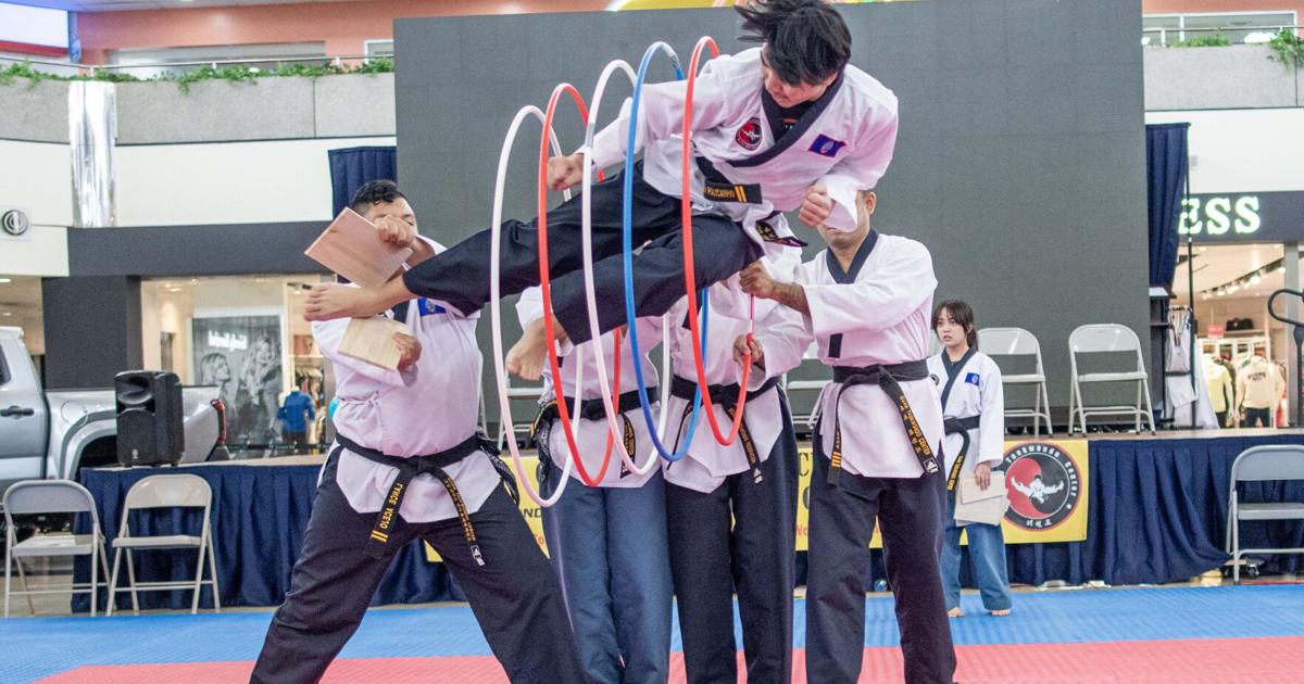 73 compete in Master Noly's Taekwondo, martial arts weapons tournament