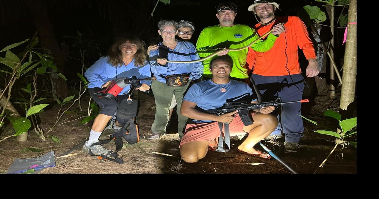 Brown tree snake hunt set for Saturday at Cocos Island