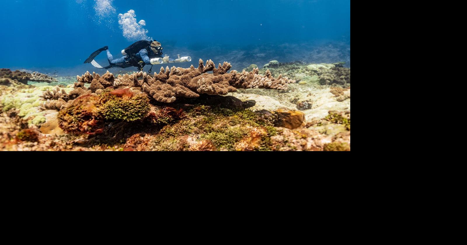 Applications now open for competitive research grant of up to $120K