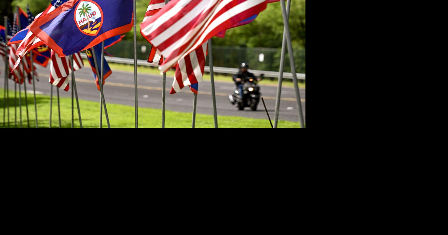 Political status options: Where senators stand