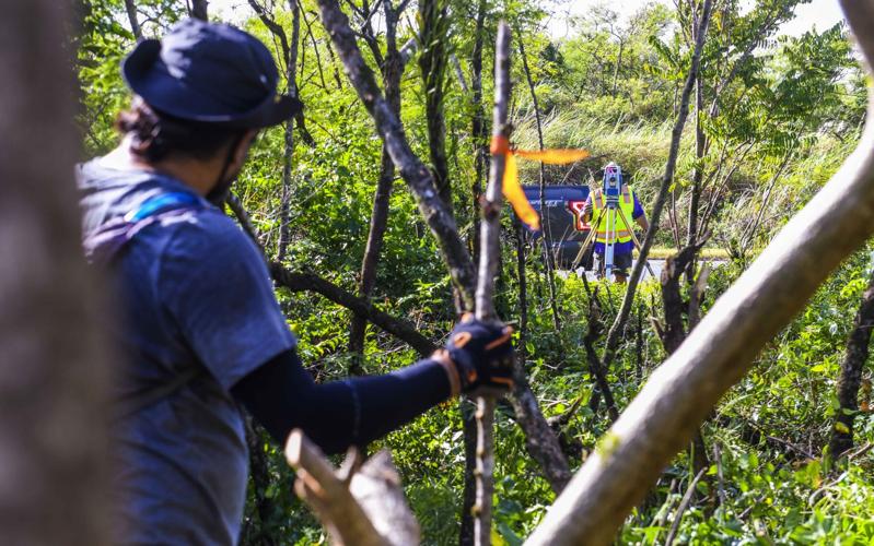 Speaker Pending Eagles Field lease 'a mockery' News