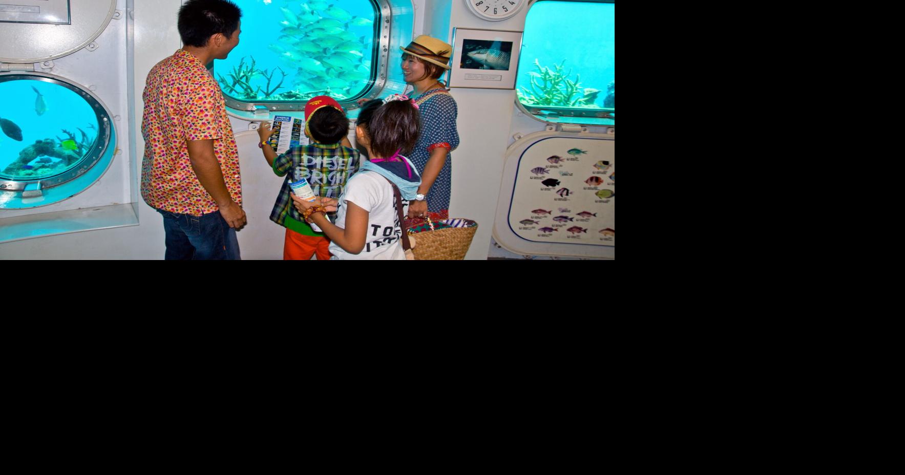 Fish Eye to replace 8 windows for improved visibility at underwater ...