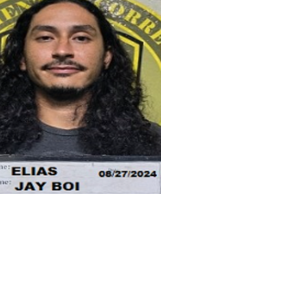 Acting on a tip, GPD catches 3rd suspect in armed robbery of tourist family