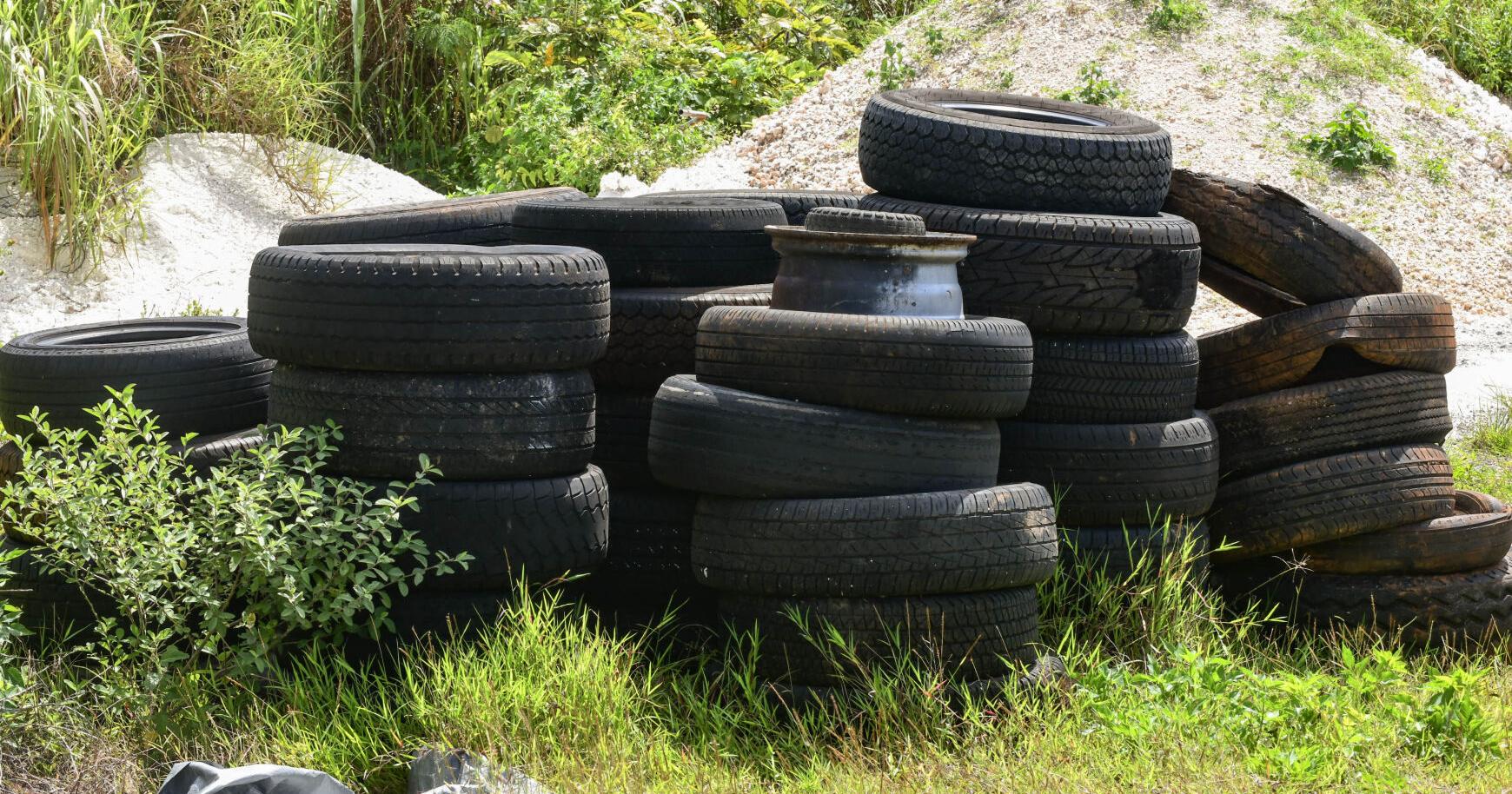 Land Trust finds illegal construction, storage of white goods as it beefs up enforcement - Vimarsana News