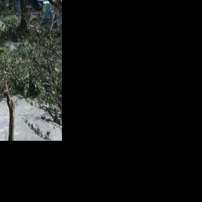 Deadly Typhoon Kalmaegi ravages Vietnam, Philippines