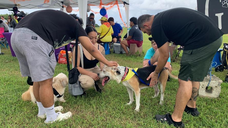 A howling success for BARK Ranger event at Asan Beach Park | Multimedia ...