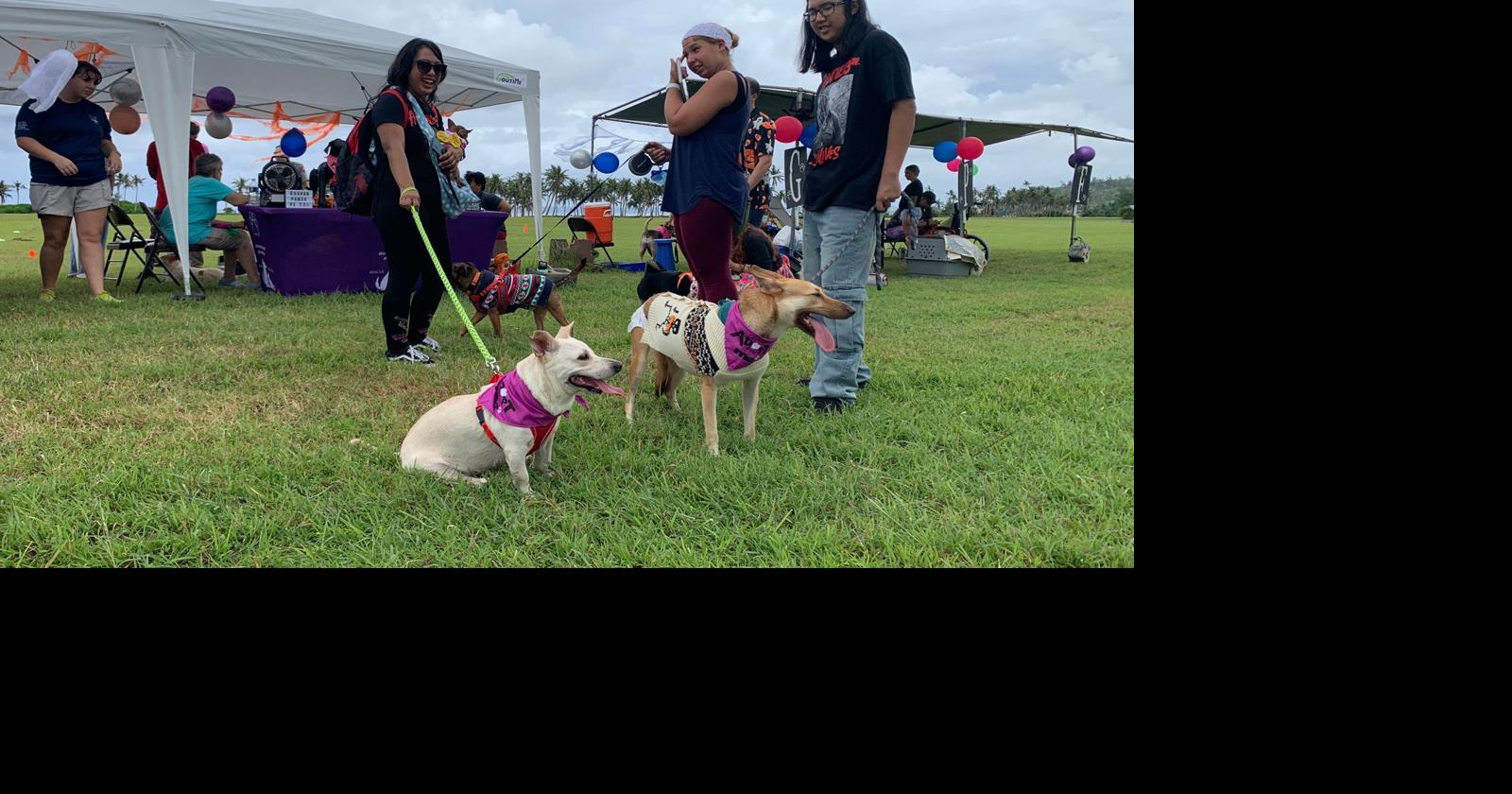 PetPalooza brings Guam’s pet lovers together Sept. 19