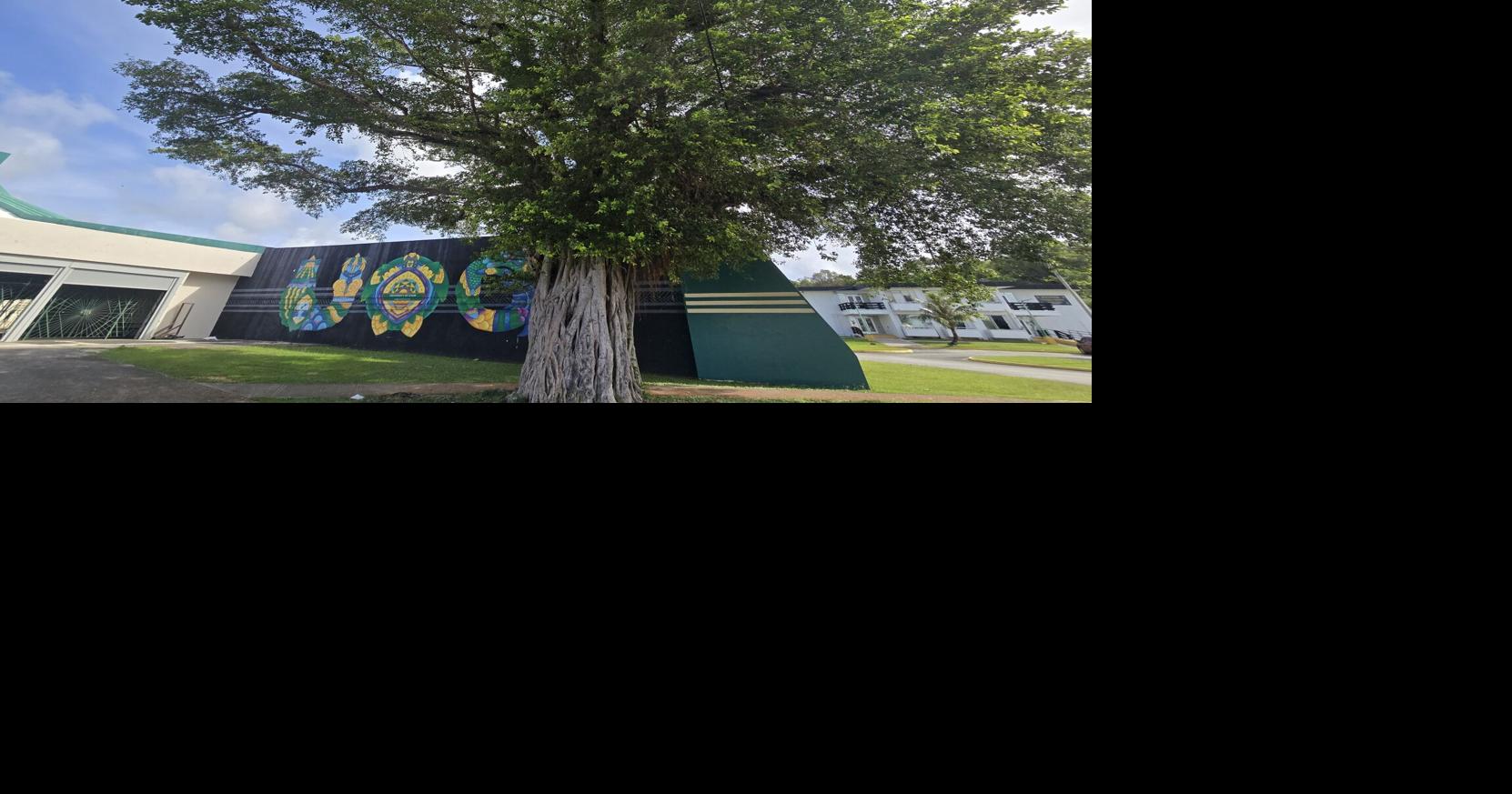 Stories Rooted In Nature: UOG’s Fañomnåkan starts under the nunu tree