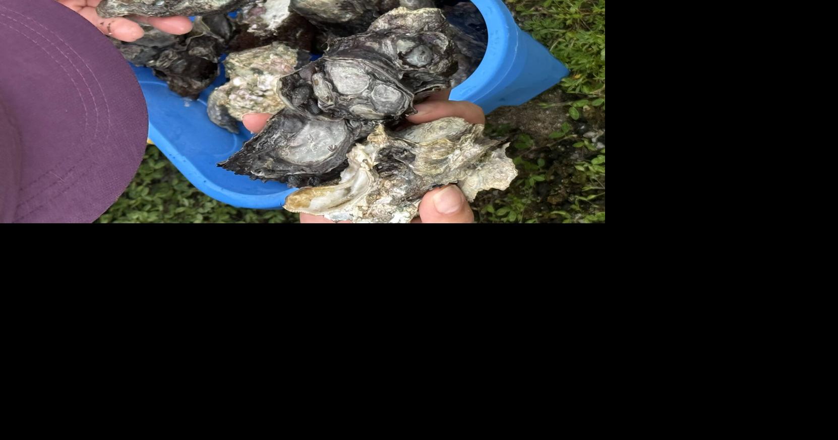 Research Matters: CIS&SG lead Guam toward a sustainable future