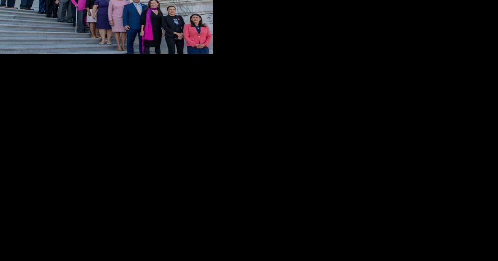 Congressional Hispanic Caucus endorses territorial representation in the Senate - Vimarsana News