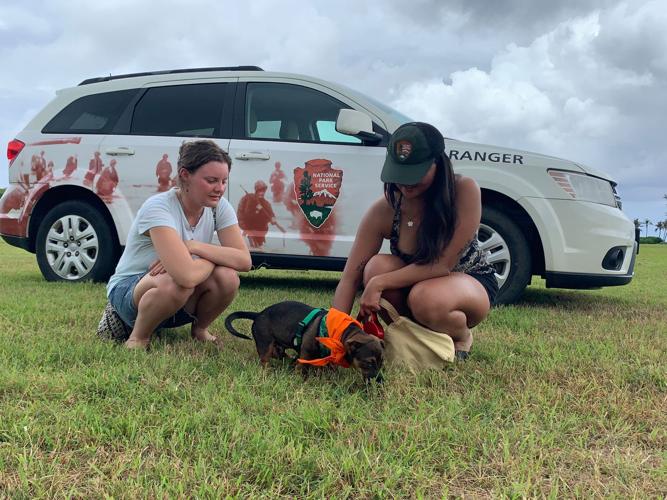 A howling success for BARK Ranger event at Asan Beach Park | Multimedia ...