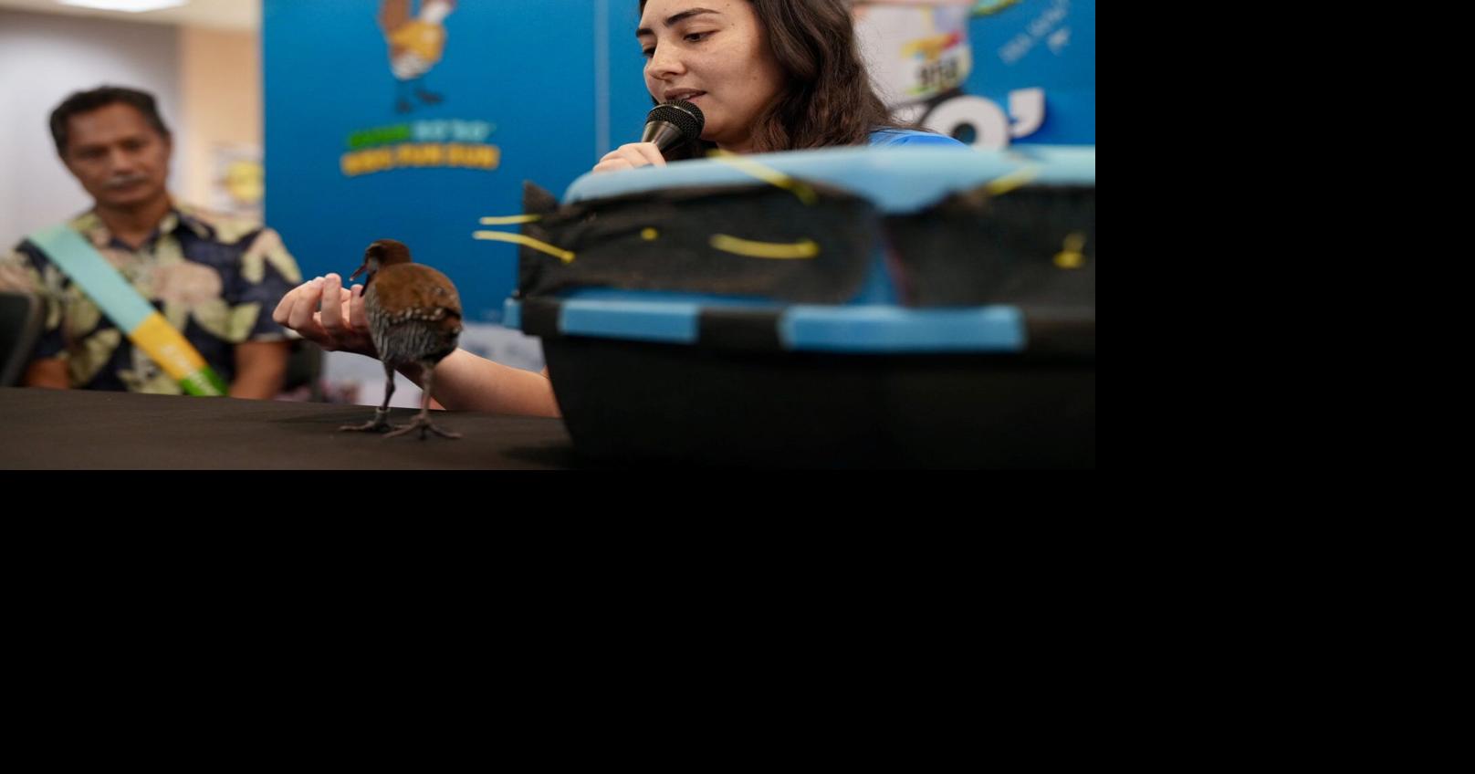 Sihek and ko'ko' conservation continue even as federal funding faces cuts