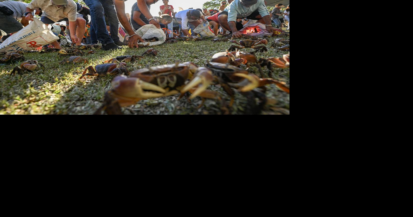 GVB board OKs $145K sponsorships for cultural, sports events