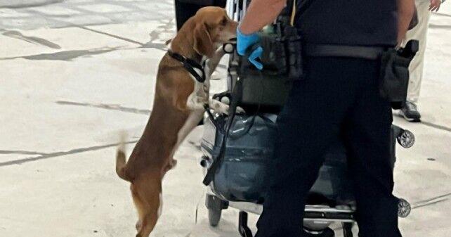 GAO: Federalizing Guam customs could mean higher prices of imported goods