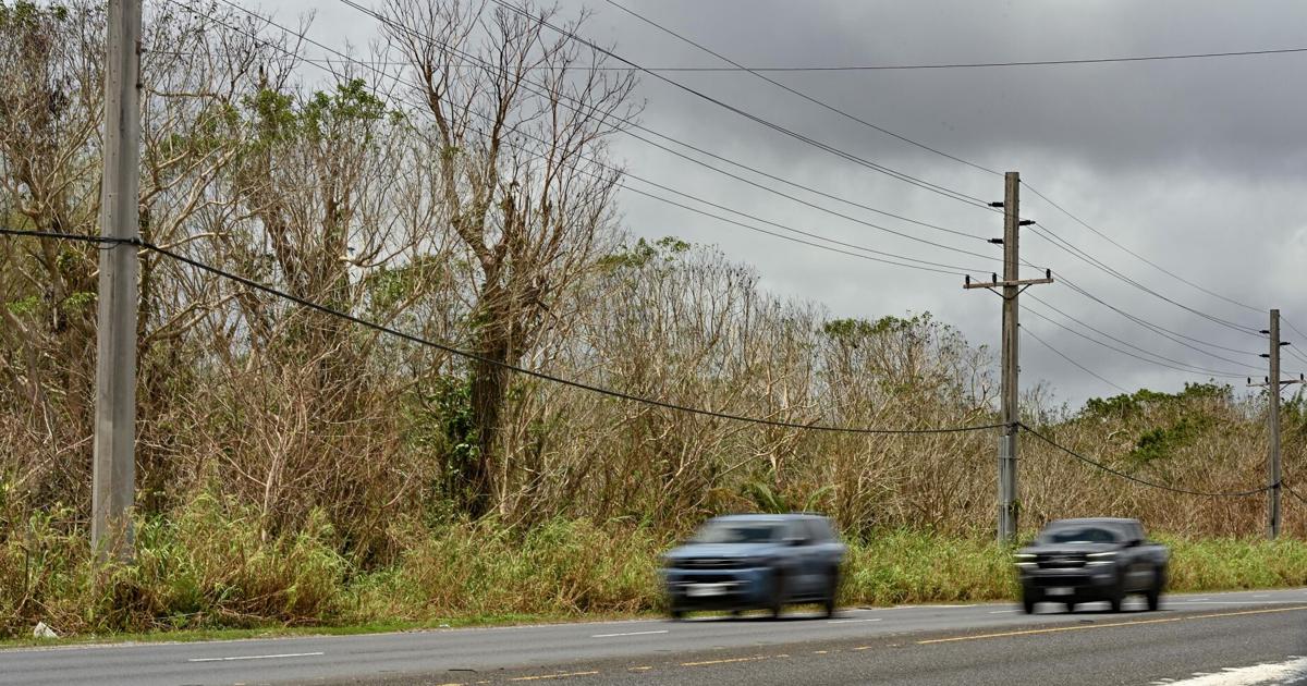 Guam wildfire risk climbs as residents burn storm debris | News ...