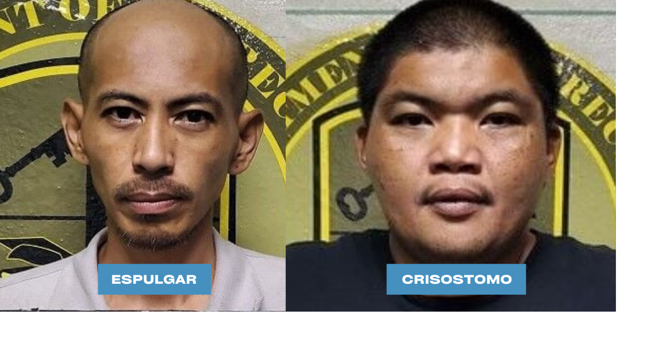 Traffic stop leads to arrests for drugs, theft, fraud