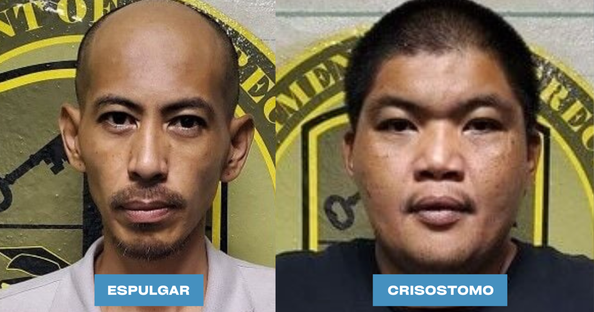 Traffic stop leads to arrests for drugs, theft, fraud