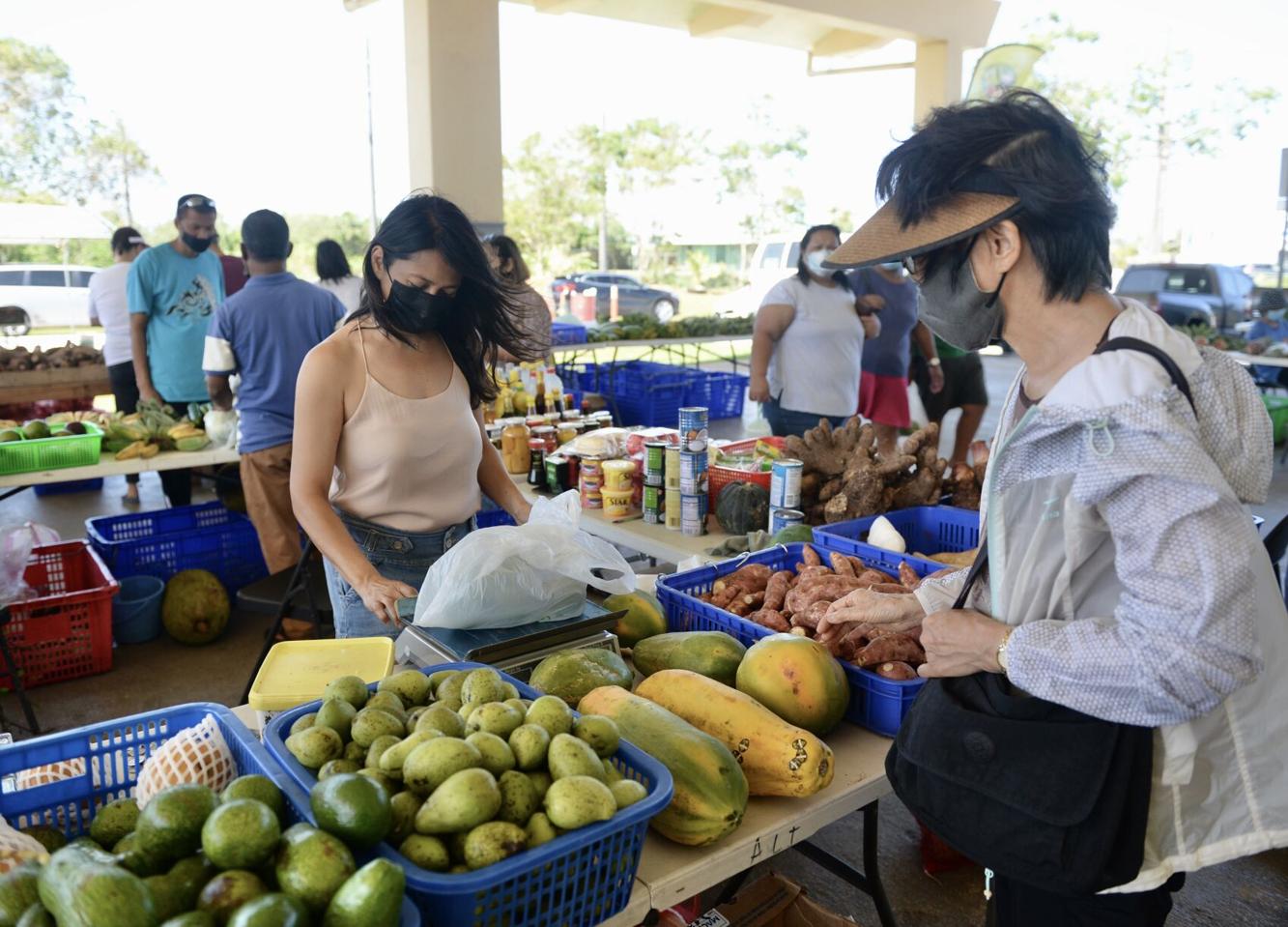 Guam farmers aim for food security, 40 local farmers apply for USDA