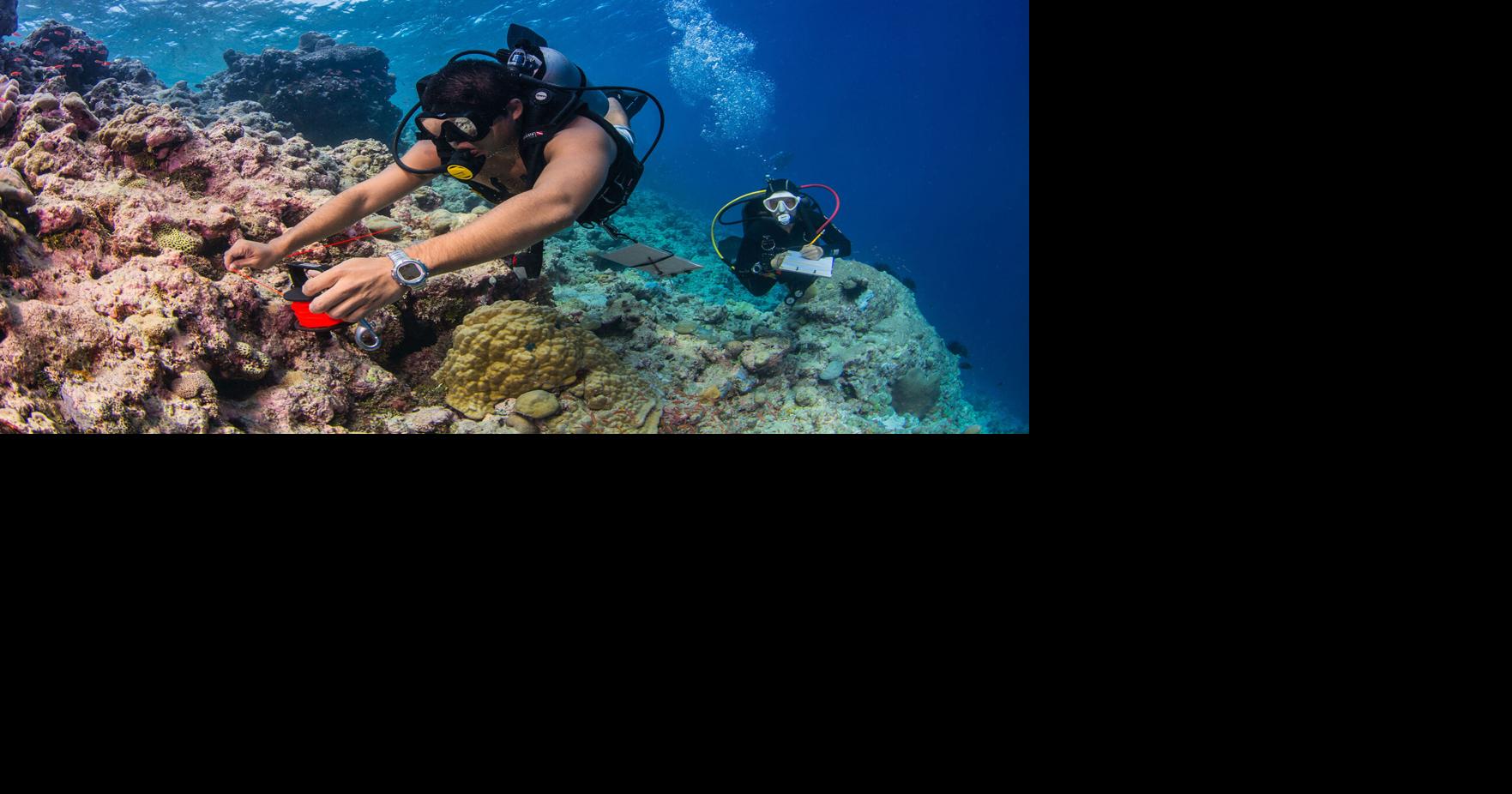 Research Matters: Collaborative conservation across land, sea