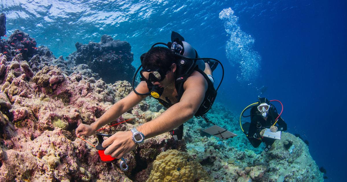 Research Matters: Collaborative conservation across land, sea