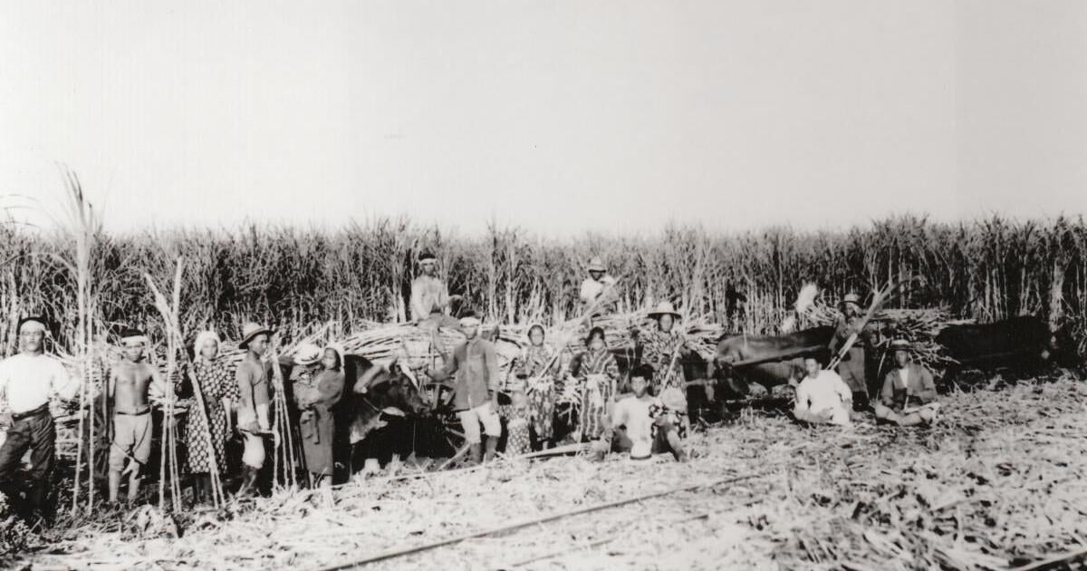 Endurance event lets runners retrace Saipan's sugarcane railway