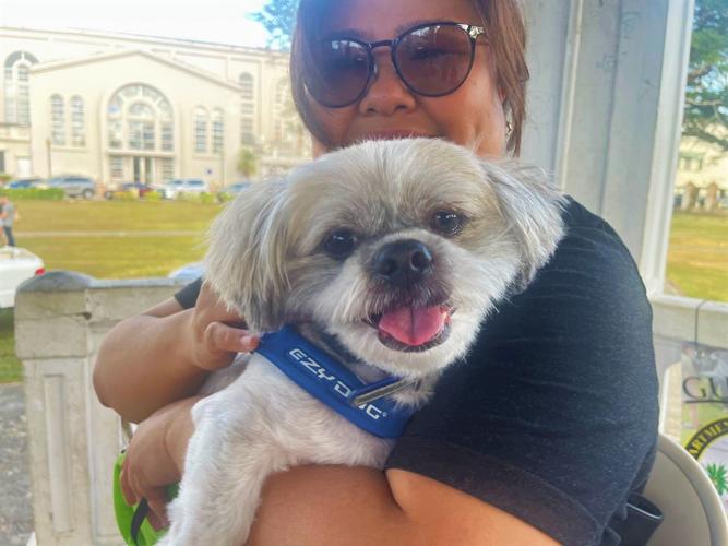 Funfilled BARK Ranger event for dog owners, animal lovers on Oct. 26