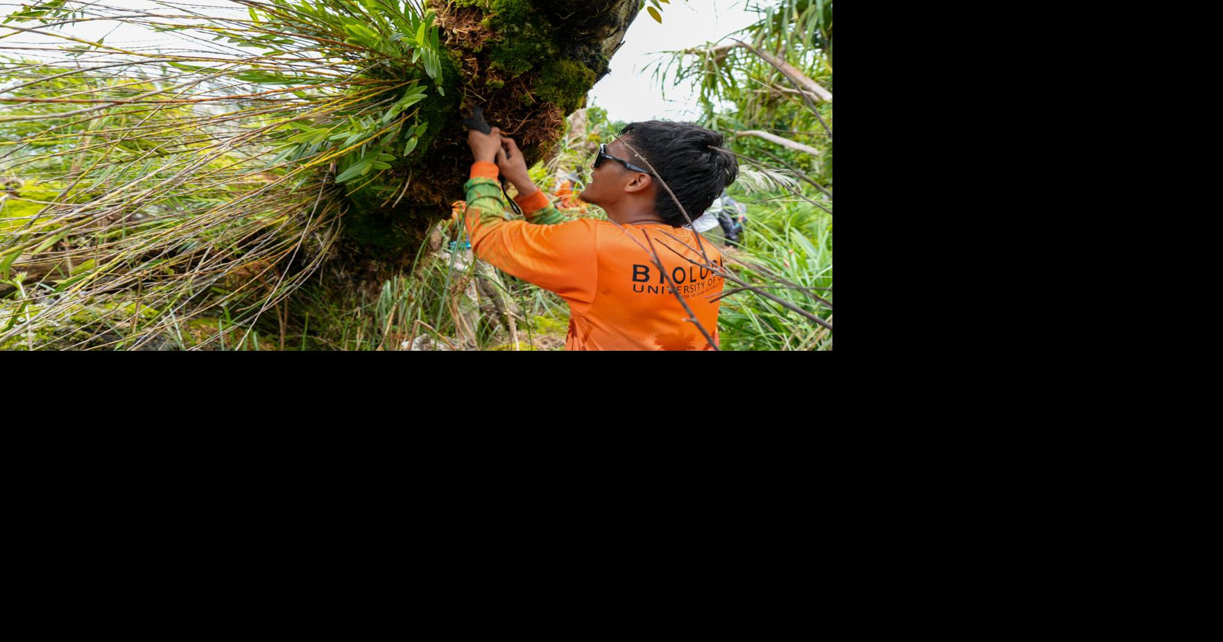 Stories Rooted in Nature: A successful orchid rescue