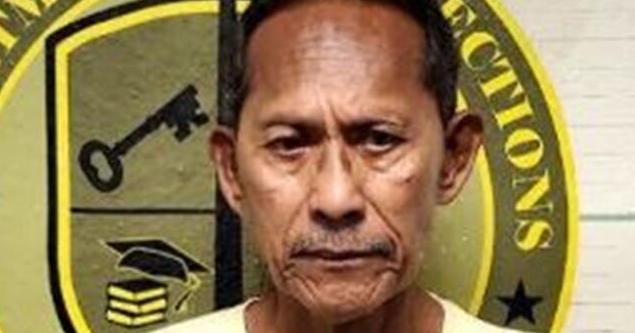 'I molested her': Man, 73, teen, 17, arrested for allegedly touching 12-year-old girl