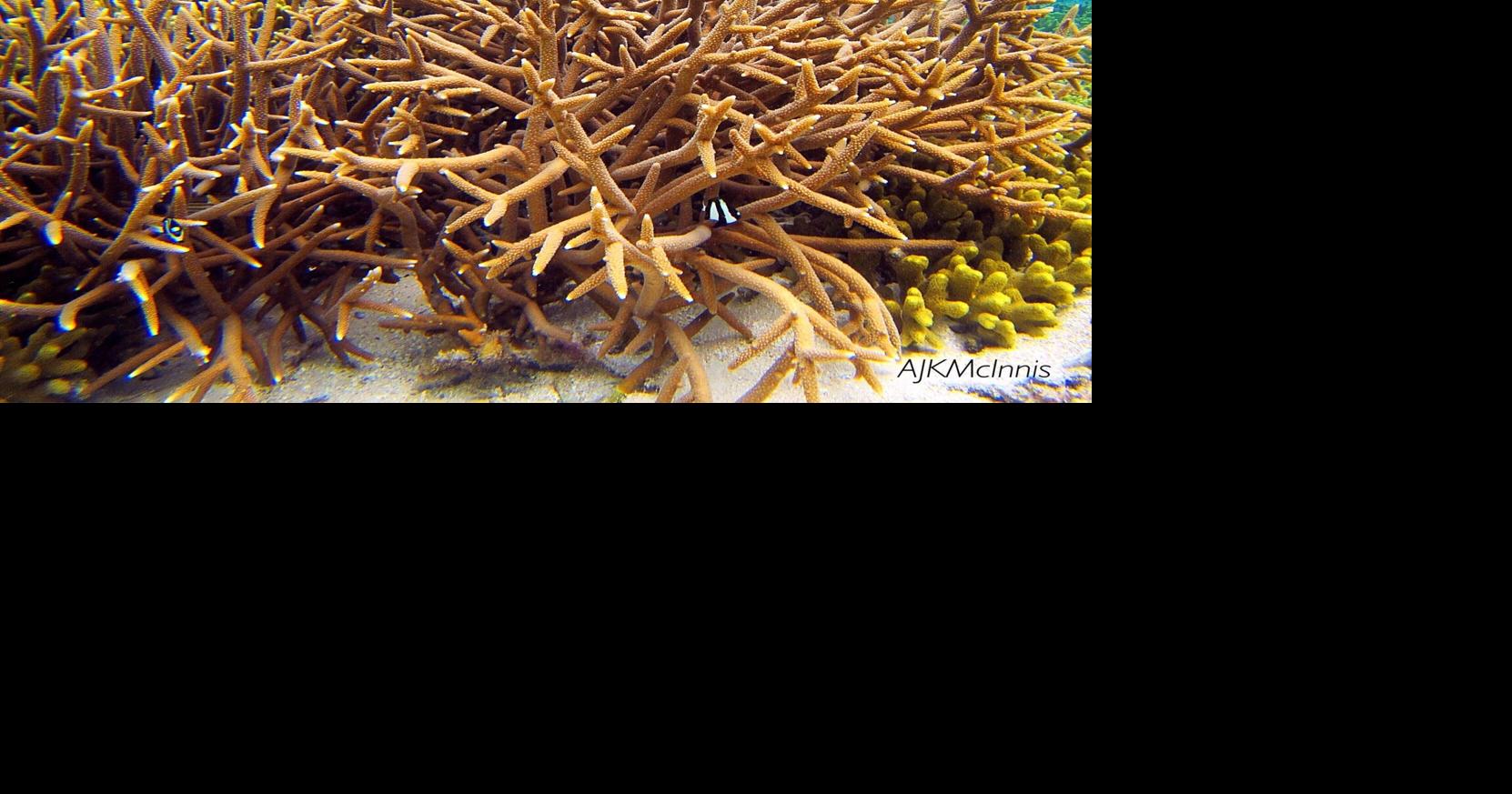 Ridge to reef, sustaining the land, the ocean, and its people ...