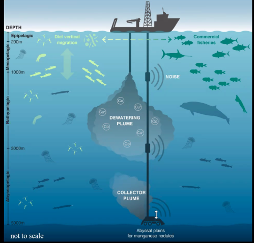 Friday emergency legislative session on opposition to deep-sea mining ...