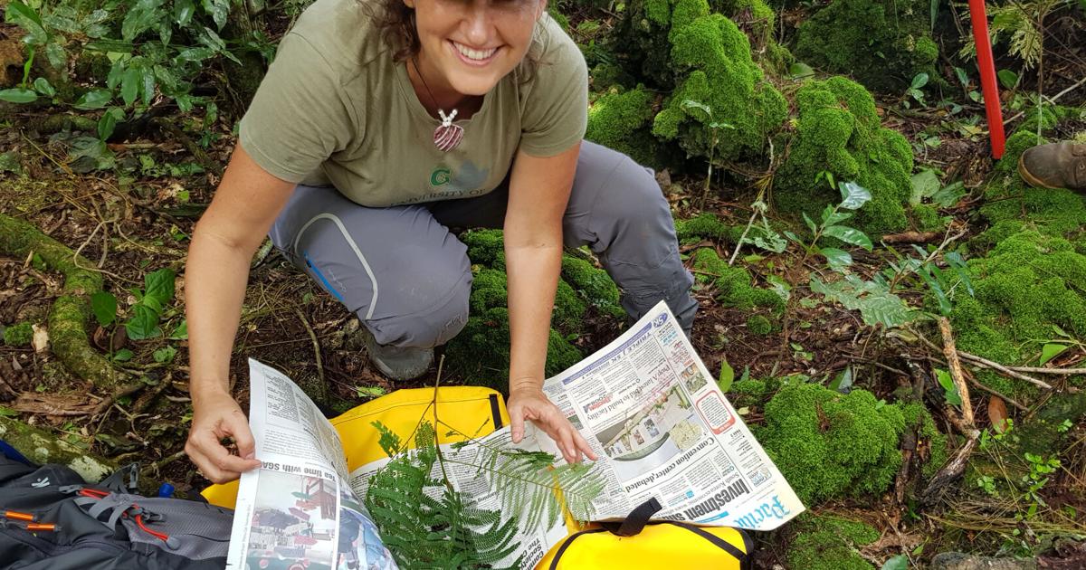UOG: Demeulenaere's håyun lagu research part of plant classification study