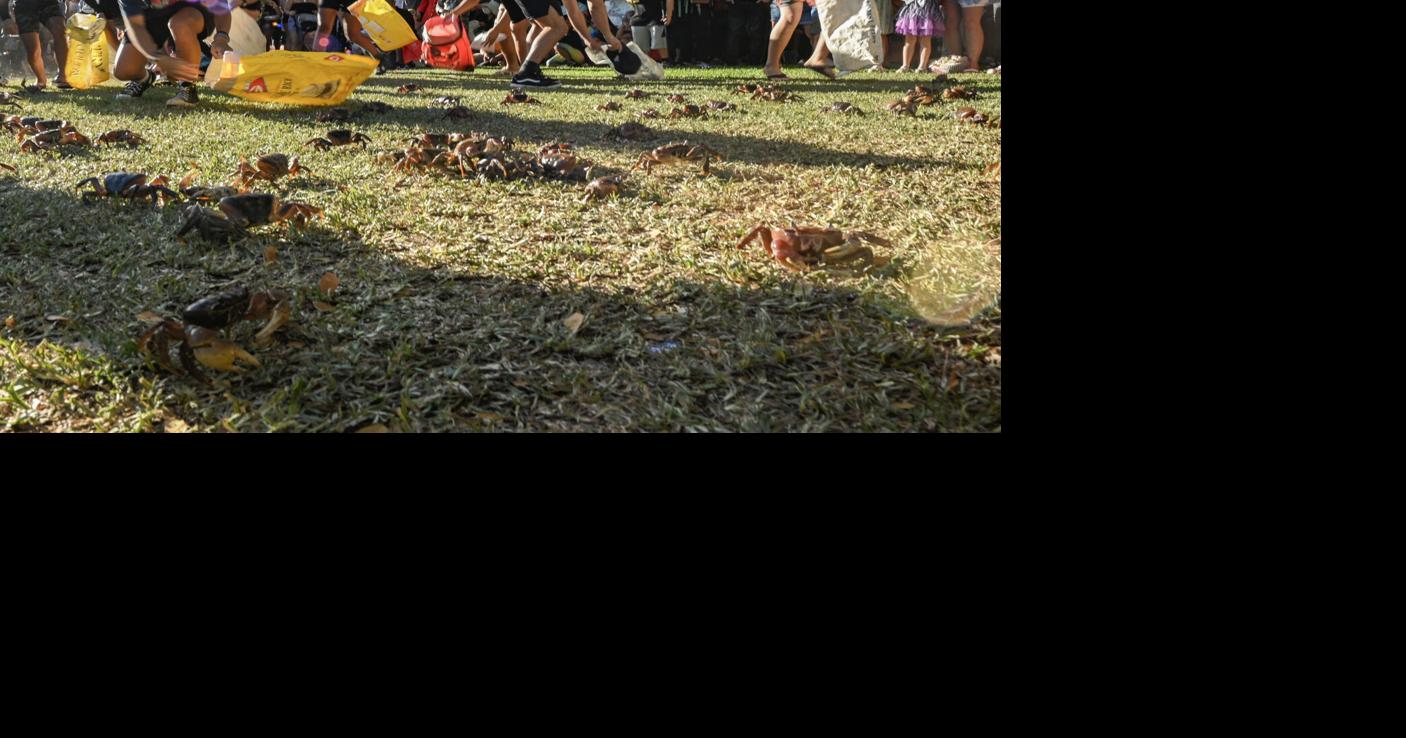 What to do this weekend: Crab, Sand Sculpture festival, CHamoru food tasting