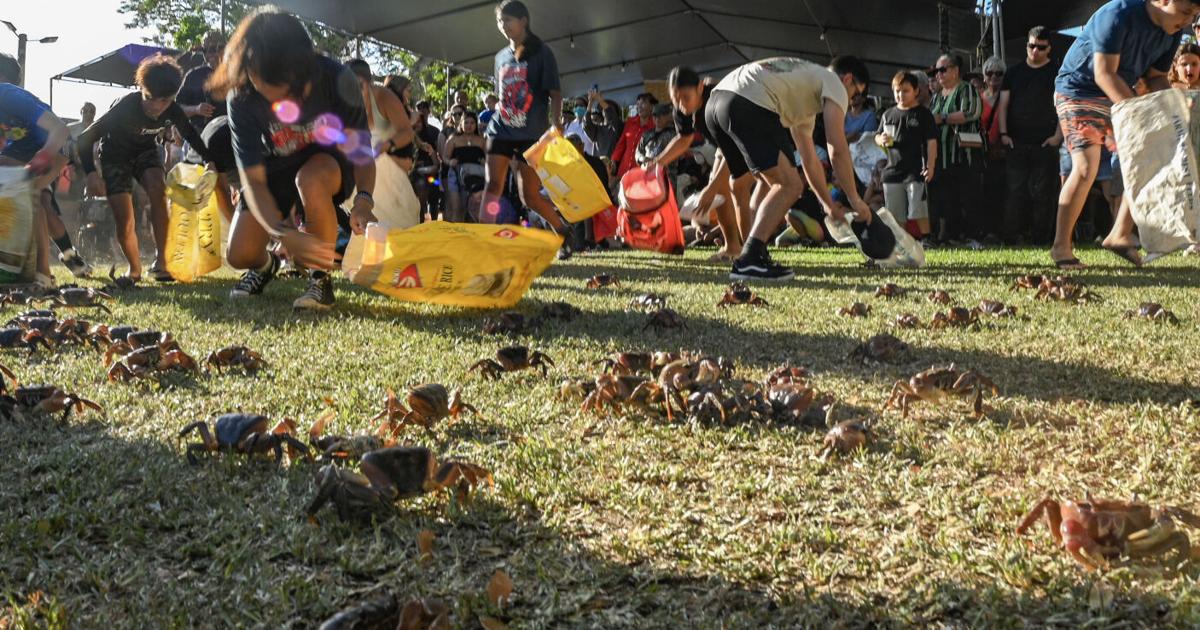 What to do this weekend: Crab, Sand Sculpture festival, CHamoru food tasting