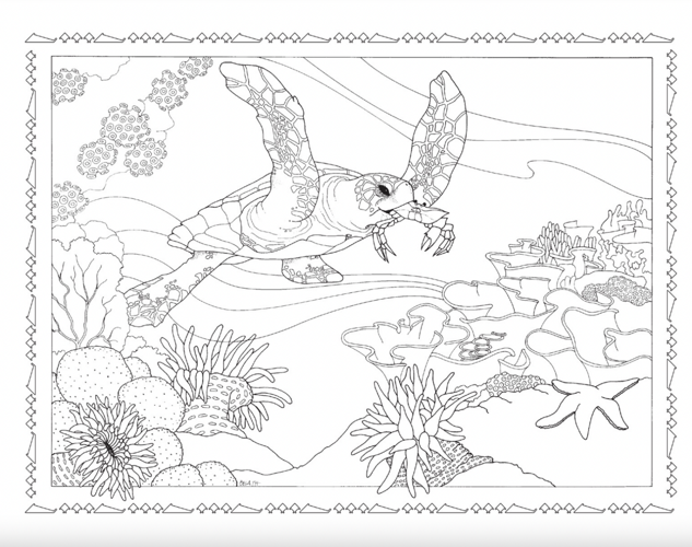 hawaiian turtle coloring pages