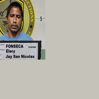 Documents: Burnt package caused fire in Malesso', man pleads guilty to drug charge
