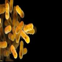 2 new confirmed whooping cough cases on Guam, bringing total to 7 this year