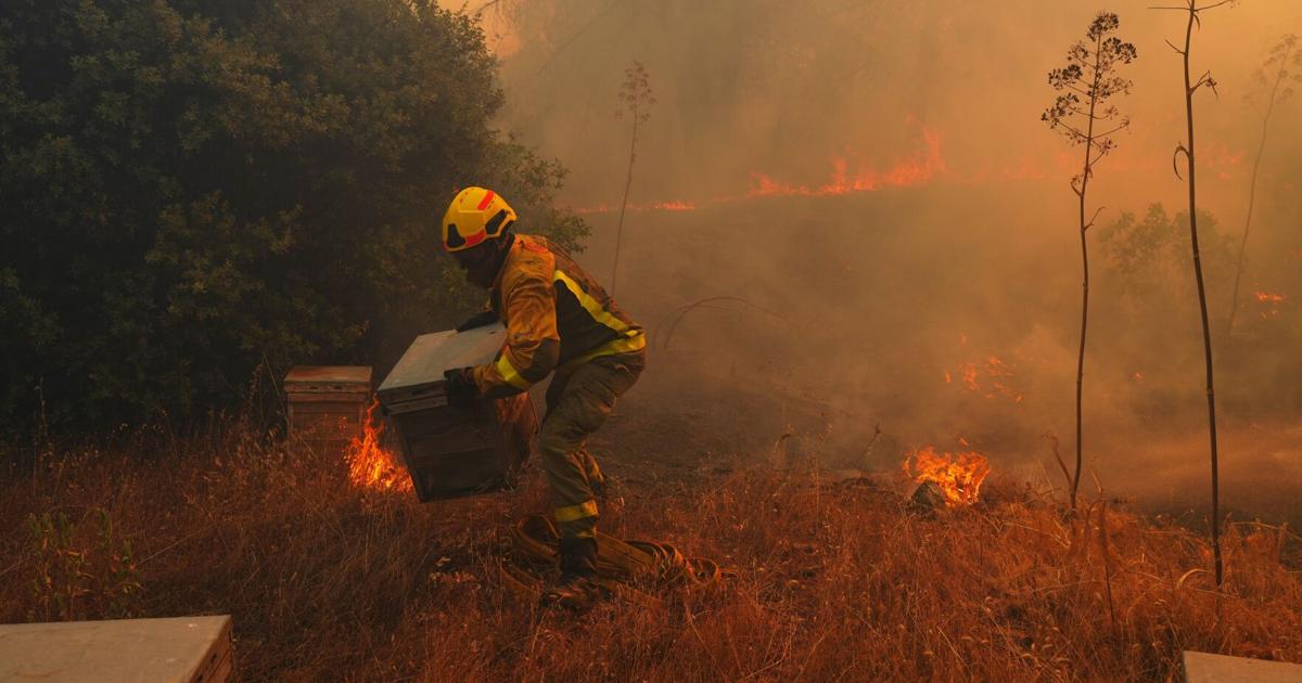UN, scientists warn that strong El Nino will add fuel to 'a planet already on fire' By SETH BORENSTEIN and EDITH M. LEDERER - Associated Press Jul 31, 2026 Jul 31, 2026 Updated 7 mins ago