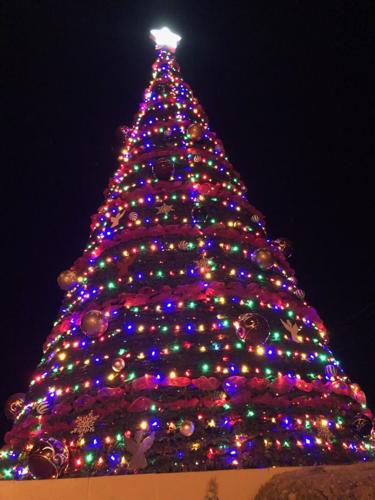 John 3:16 builds 54-foot Christmas tree | News | guardonline.com