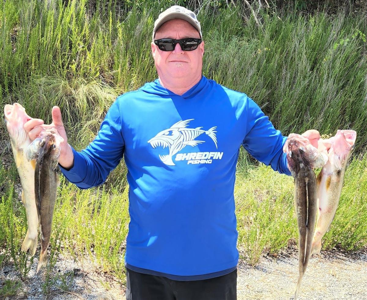 AGFC WEEKLY FISHING REPORT, Sports
