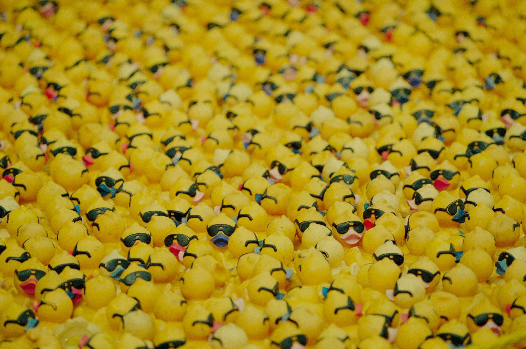 Angry Racing Duck America 250 Objects Rubber Duck | National | guardonline.com