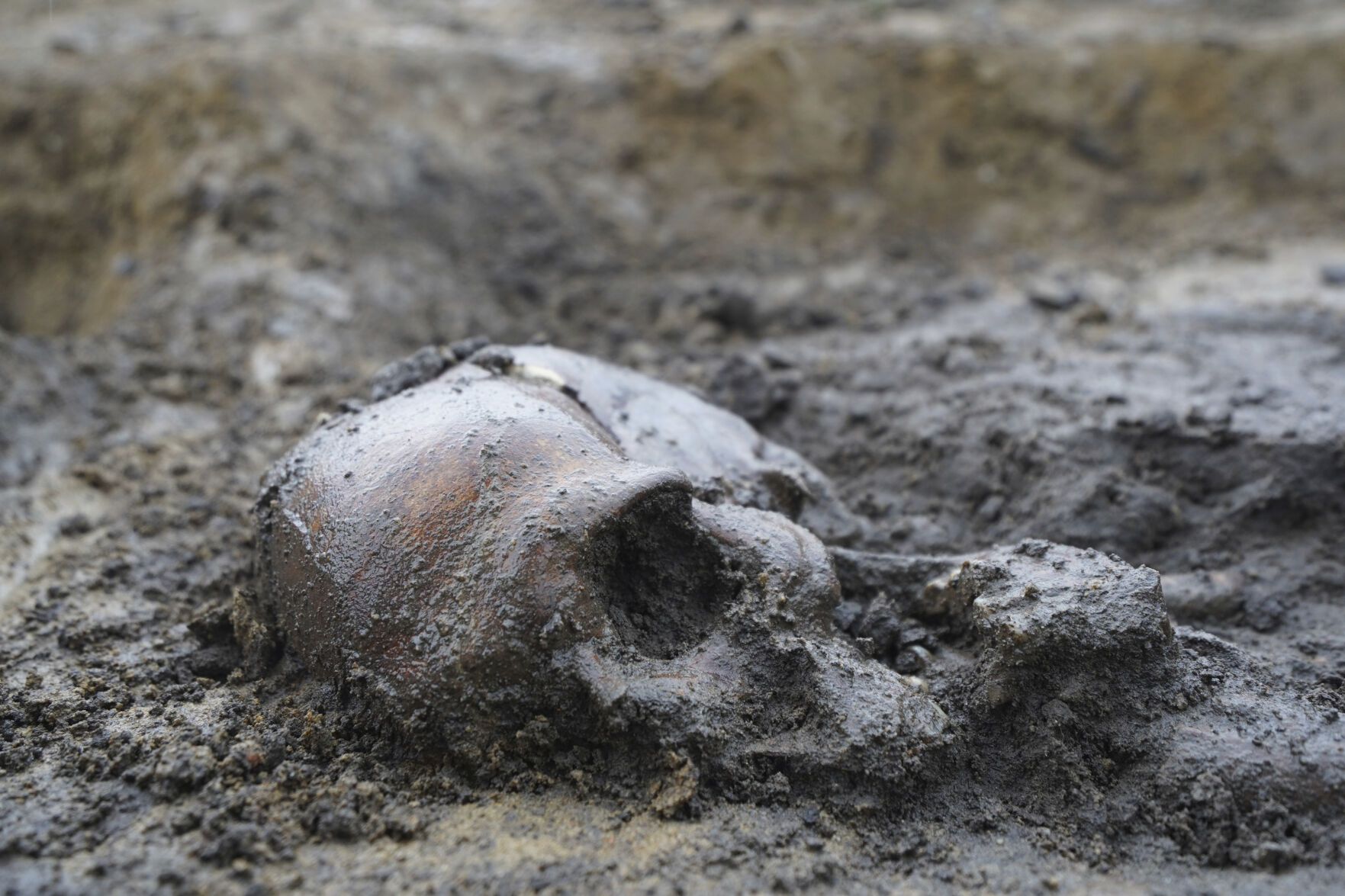 In Denmark, 50 Well-preserved Viking Age Skeletons Have Been Unearthed ...