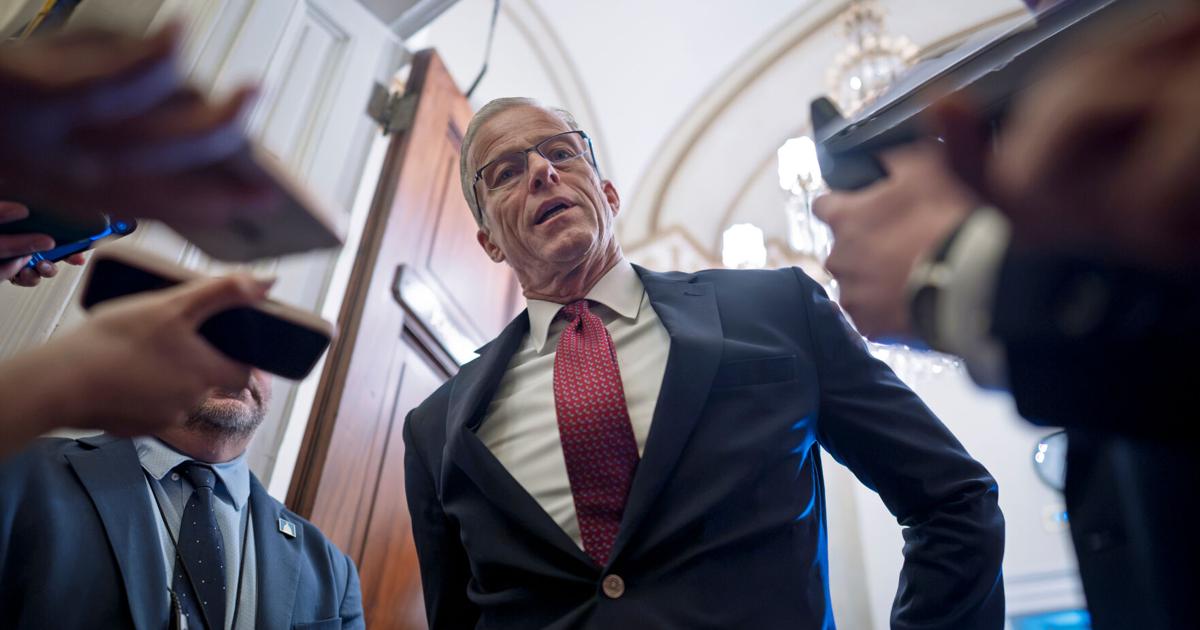 Check Guard Signs Thune makes final push in red states as he scrambles to save ...