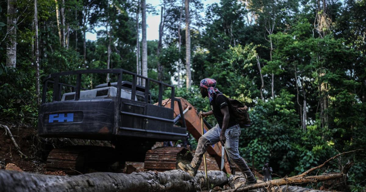 Check Guard Signs Suriname’s Saamaka tribe turns to mapping and documenting in effort to ...