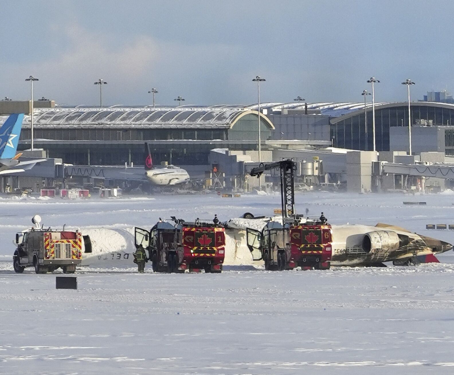 Toronto Delta Flight World