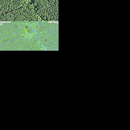 Tech provides new avenue for forest health research | News ...