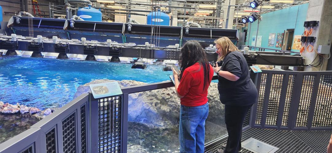 Group of Middle School Students Spend Spring Break Learning At