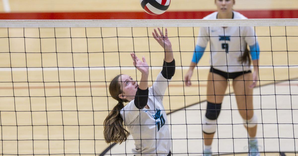 VOLLEYBALL ROUNDUP: Seckinger Clinches State Tournament Bid