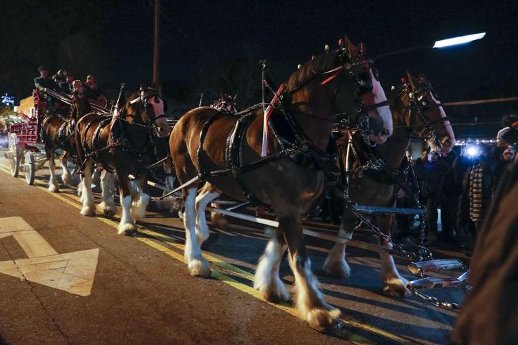 Clydesdales and community shine during Lawrenceville’s first Christmas