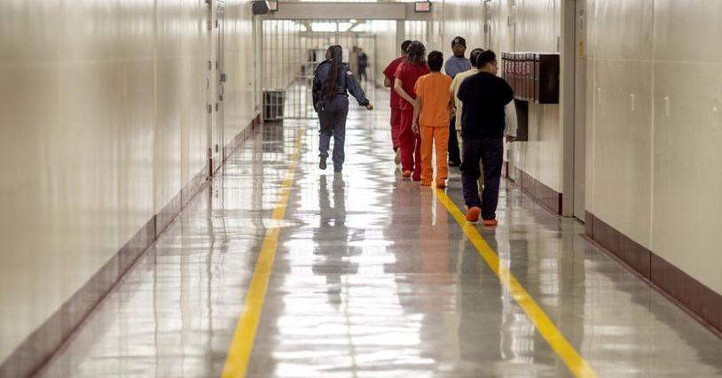 Georgia immigration jails bring back social visits |  news