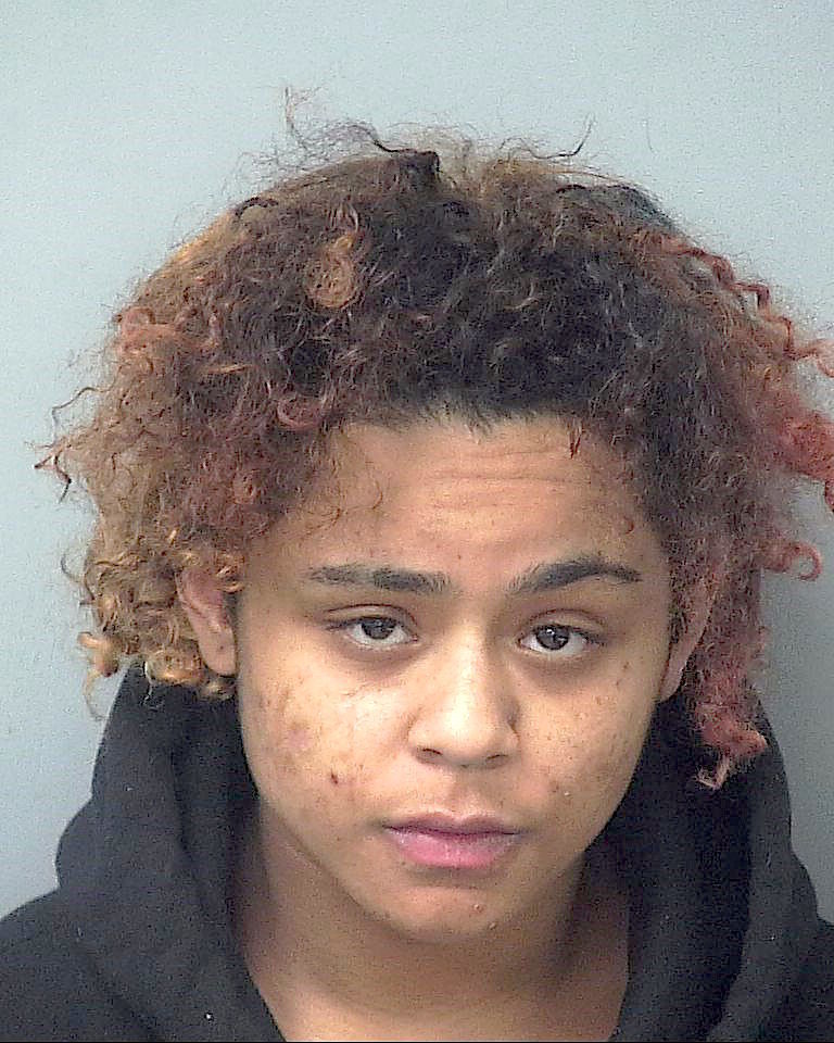 Woman charged with involuntary manslaughter after fatally shooting ...
